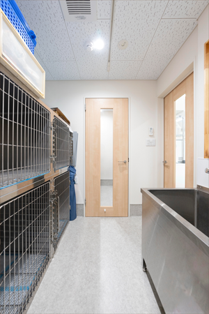 わんちゃん用のお部屋です。