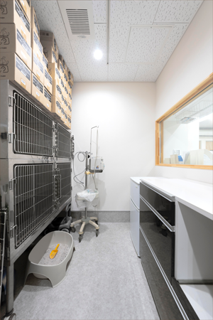 ねこちゃん用のお部屋です。